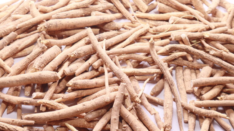 Ashwagandha & Adaptogene für Sportler: Was die Wissenschaft zu Kraft, Cortisol und Regeneration sagt